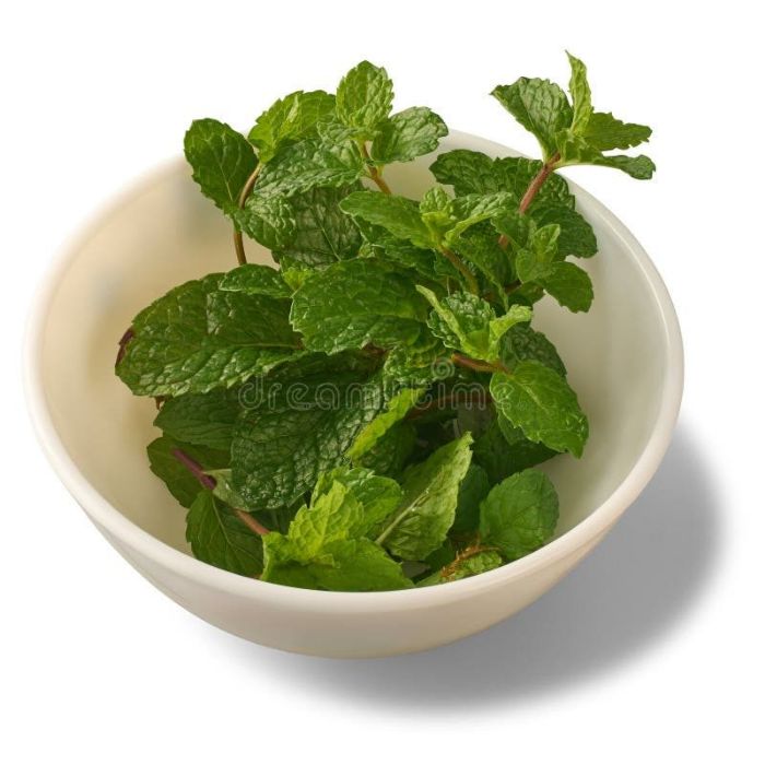 Fresh Mint Leaves for sale in Karachi - Akhtar Sabir Fresh